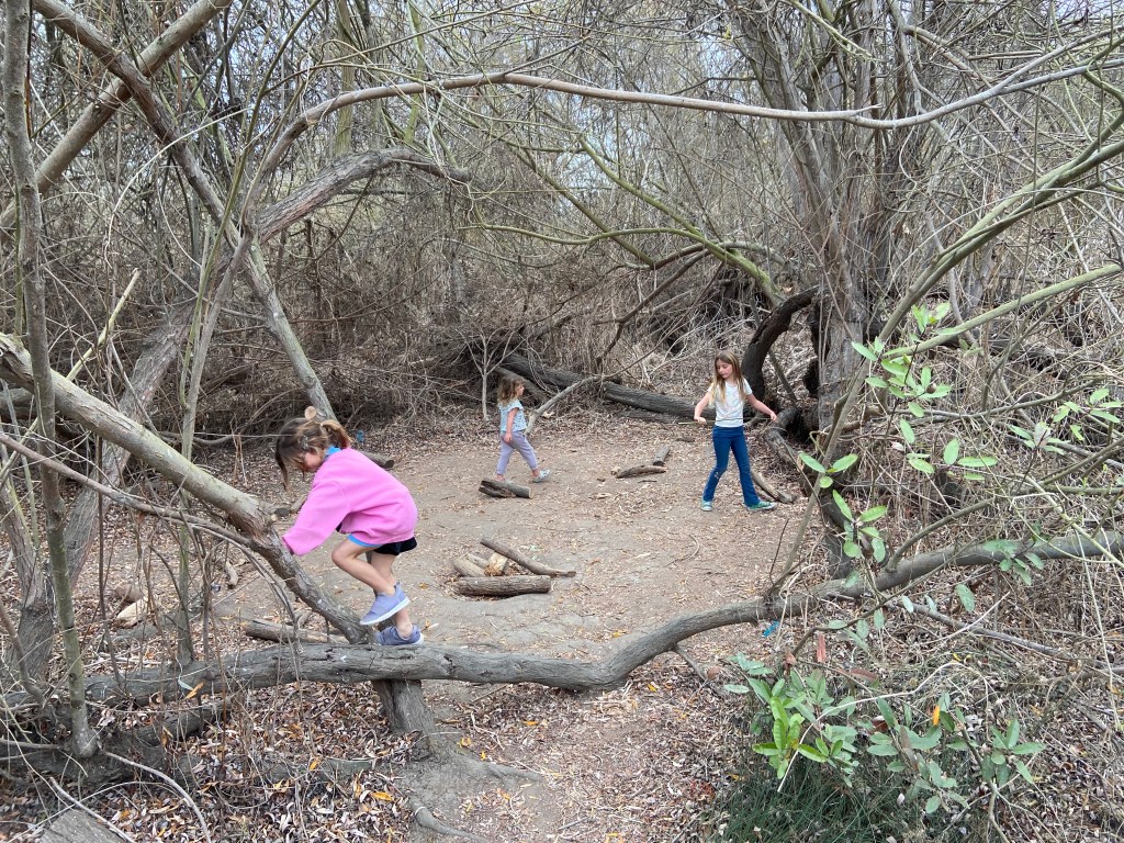Mother / Daughter&nbsp;Nature
